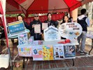 宣導性別平等、子女從性、防範詐騙