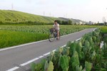 悠遊於田園之間的五福圳自行車道