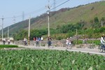 五福圳自行車道穿越橫山及田園景觀